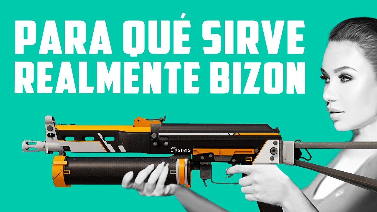 ¿PARA QUÉ SIRVE EL BIZON DE CS2 EN LA VIDA REAL?