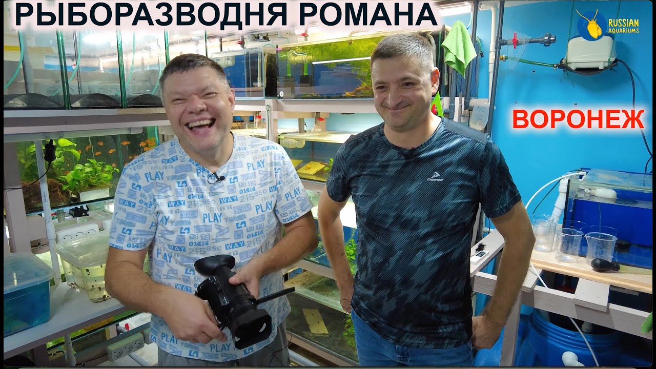 Рыборазводня Романа г.Воронеж