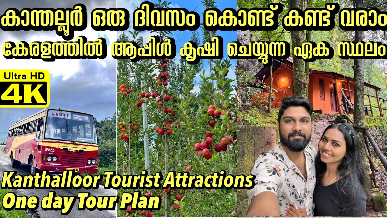 കേരളത്തിലെ ആപ്പിൾ തോട്ടം കാണാൻ പോയാലോ🔥 Kanthalloor One Day Tour plan | Apple Farm in Kanthalloor 🍎