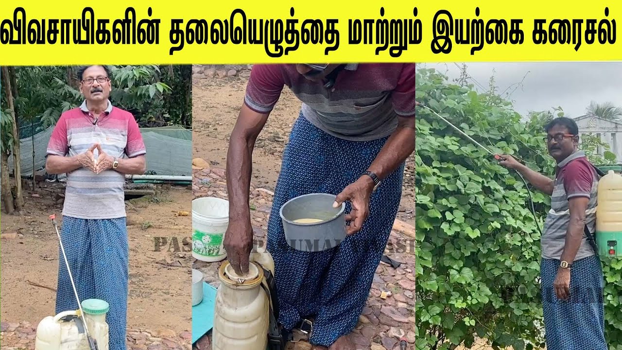 சாகும் மரத்தை பிழைக்கவைக்கும்  அதிசய கரைசல்/Miracle solution to save dying wood
