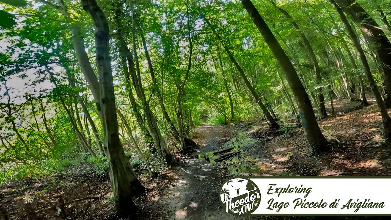 Giro del Lago Piccolo di Avigliana (a piedi o in bici) - Settembre 2021