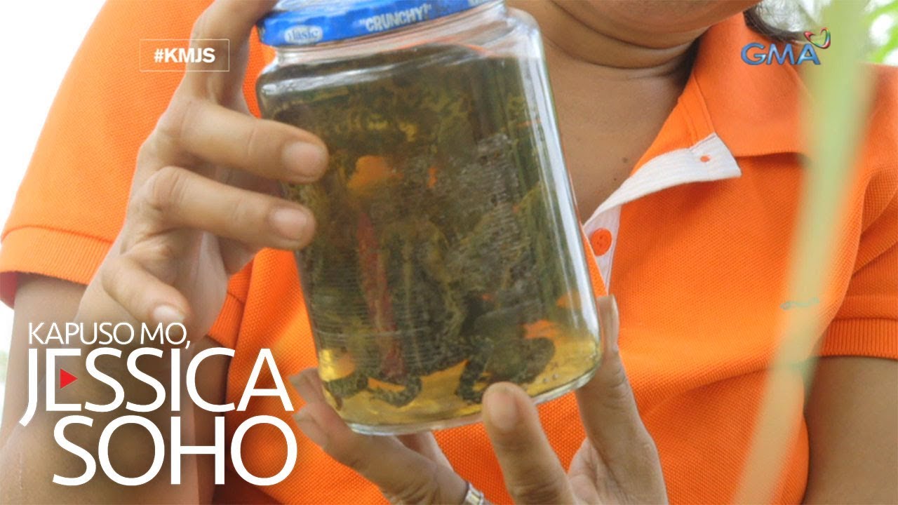 Kapuso Mo, Jessica Soho: Babae sa Butuan, sumusuka diumano ng palaka at insekto?