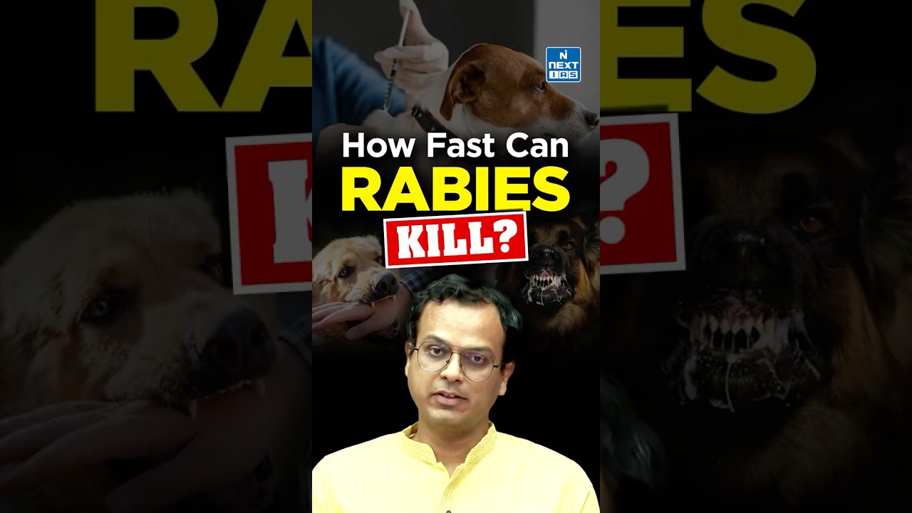 How Long Do You Have to Get Treatment for Rabies Before It's TOO LATE?
