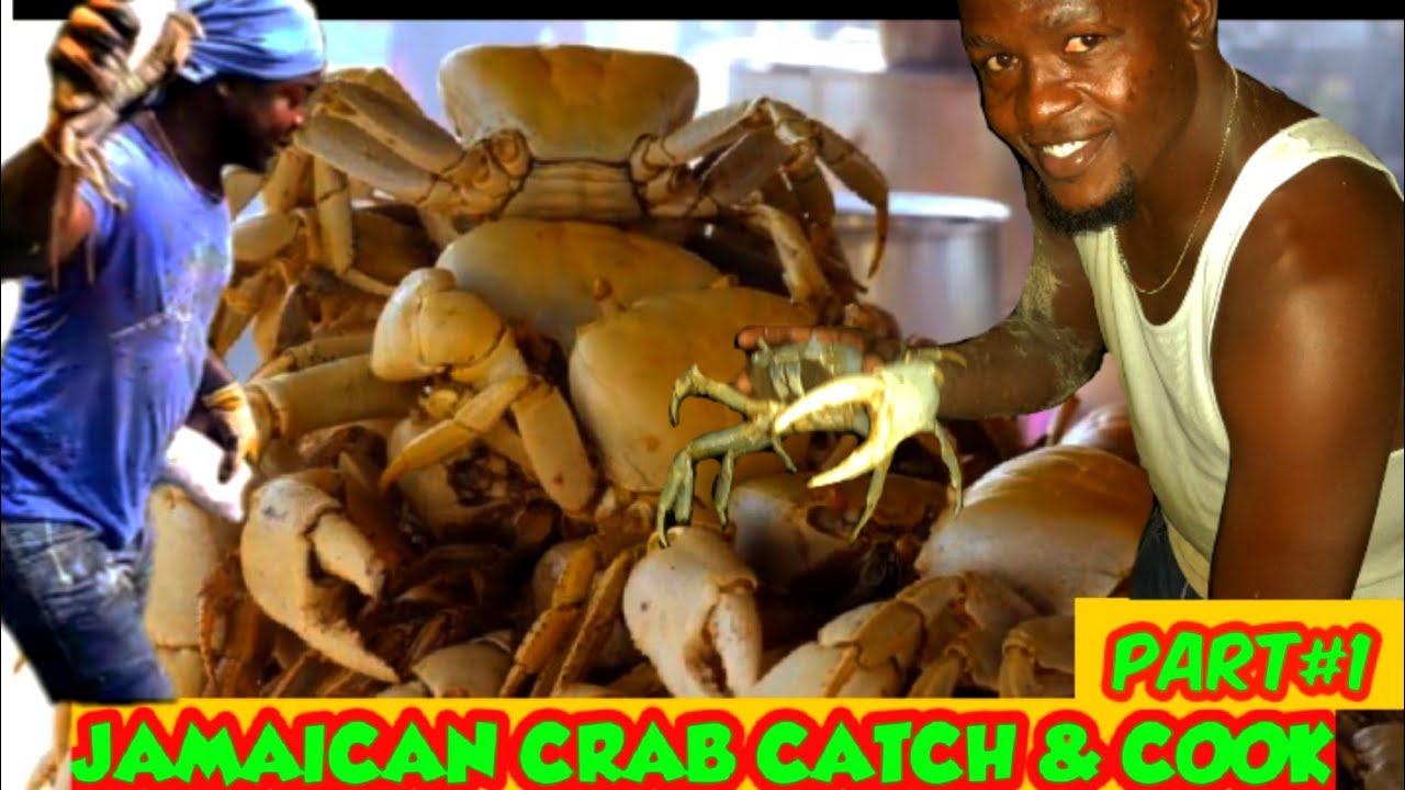 JAMAICA EPIC CRAB HUNT IN SWAMP CATCH AND COOK (PART1)
