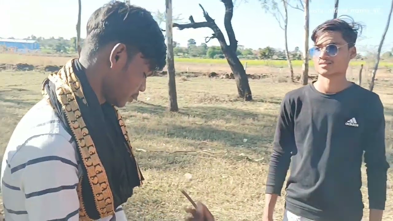 desi pushpa 2.0 | prabhat pattan wale |