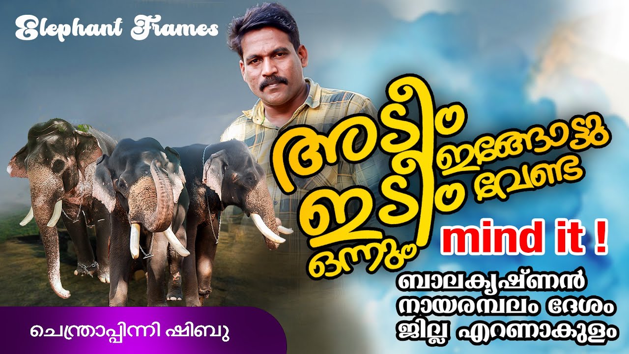 Unrestricted Nayarambalam Balakrishnan/elephant frames/Centrapini Shibu