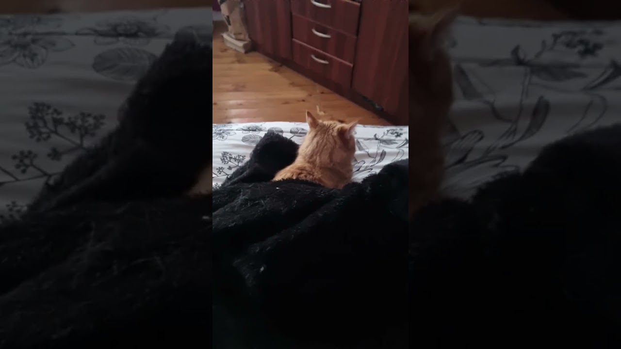 ella tiene fr&iacute;o!!