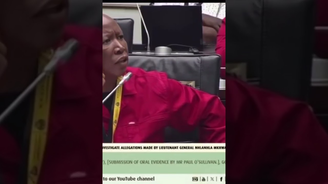 Julius Malema ANGRY At Paul O'Sullivan 🇿🇦