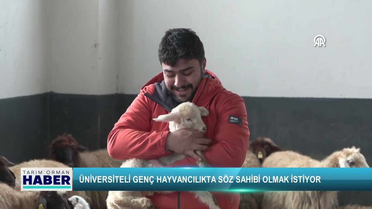 Üniversiteli genç hayvancılıkta söz sahibi olmak istiyor