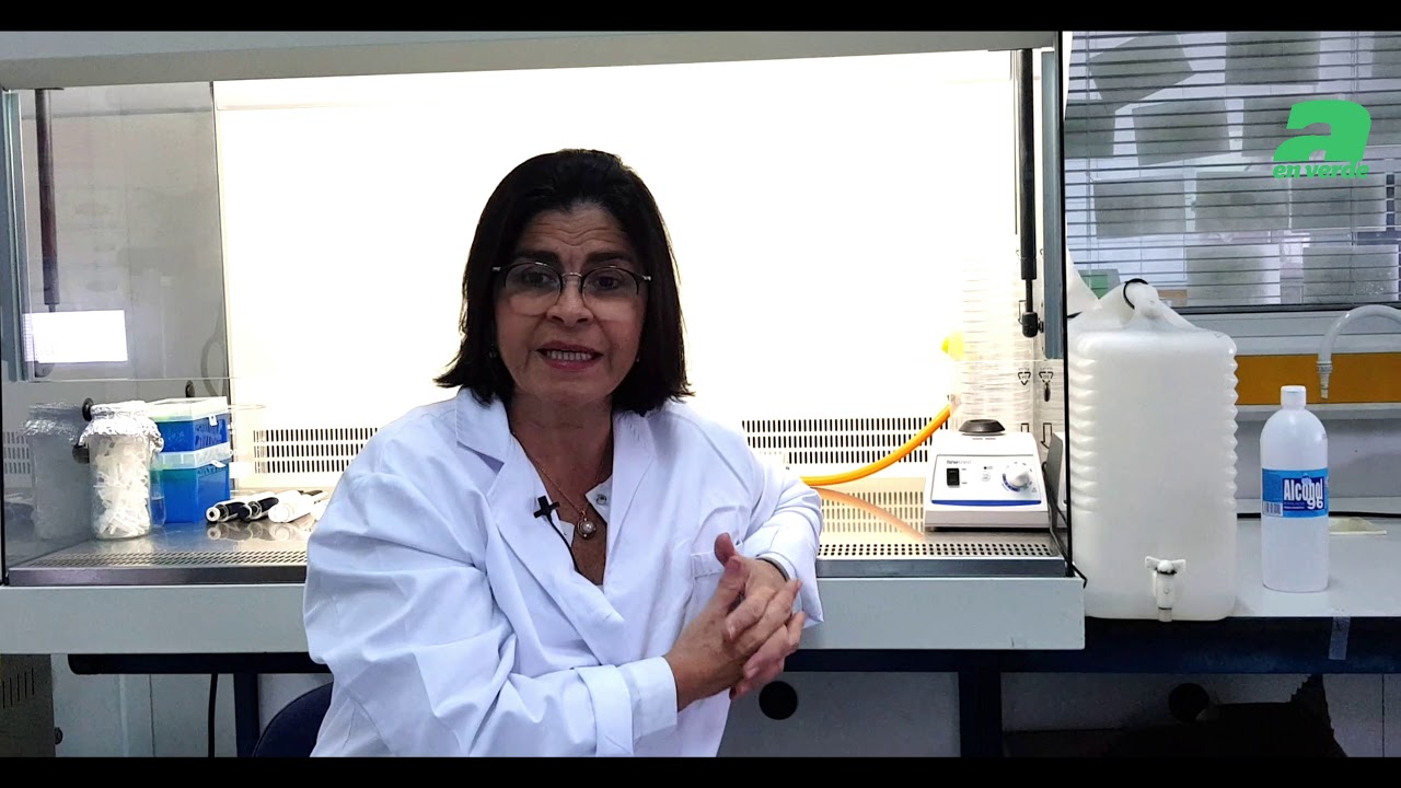 ¿Qué sabemos sobre el virus rugoso del tomate (ToBRFV)?