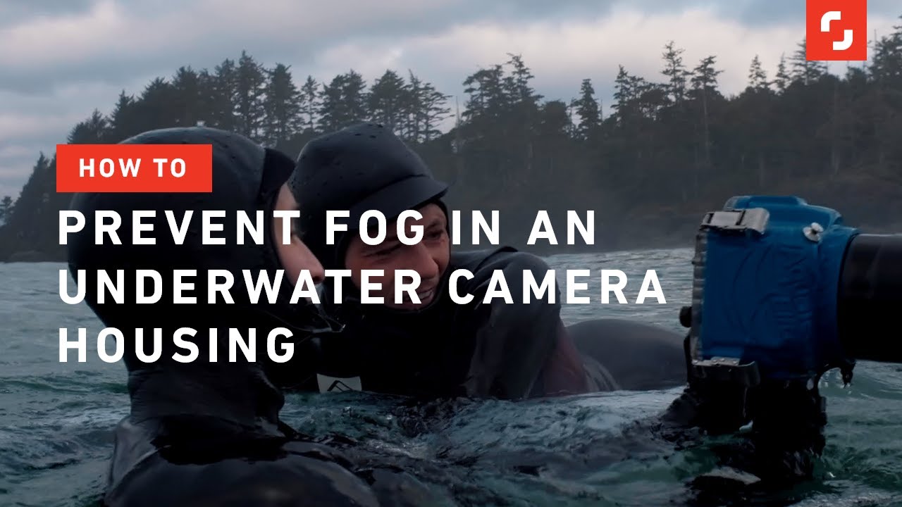 How to Prevent Fog in an Underwater Camera Housing | Photography Tips
