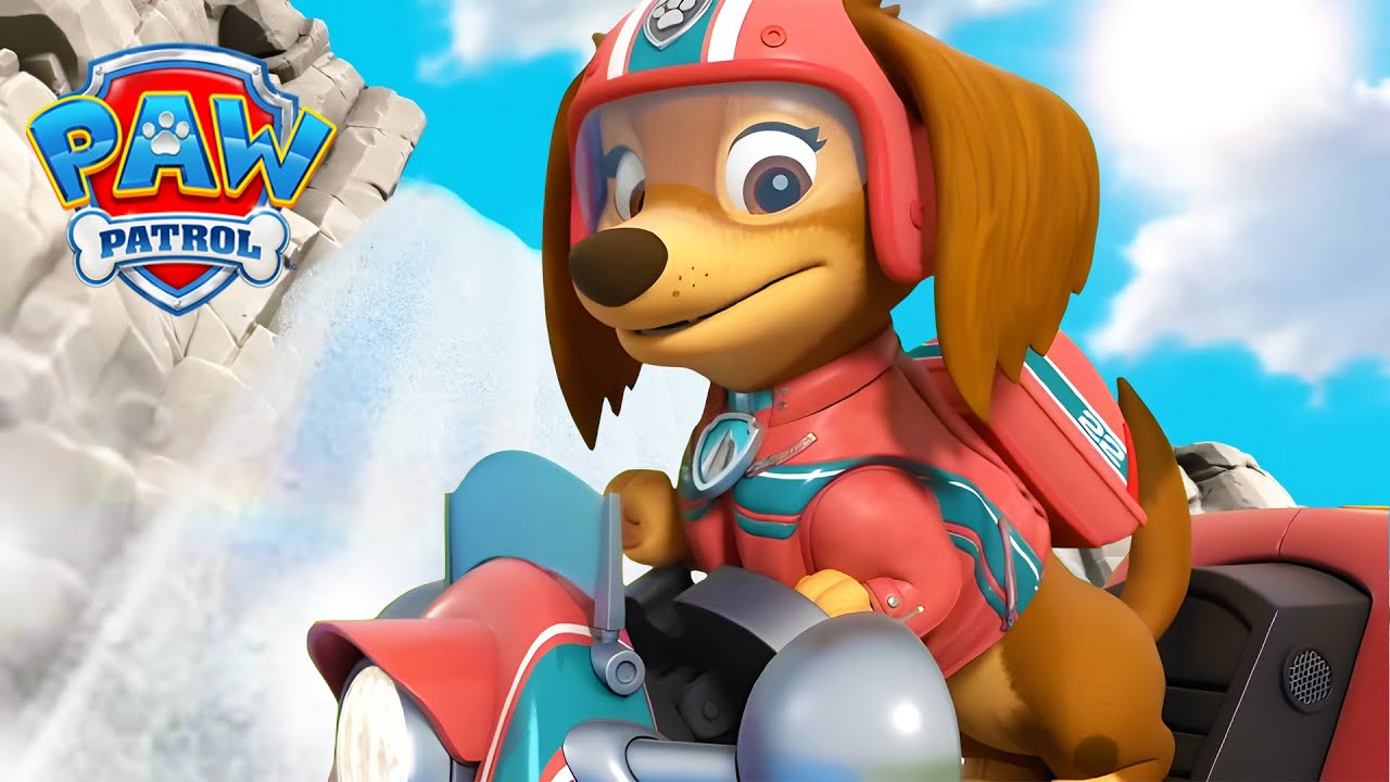 Liberty e l’orso! 🐻 - PAW Patrol I cuccioli Episodi Italiano