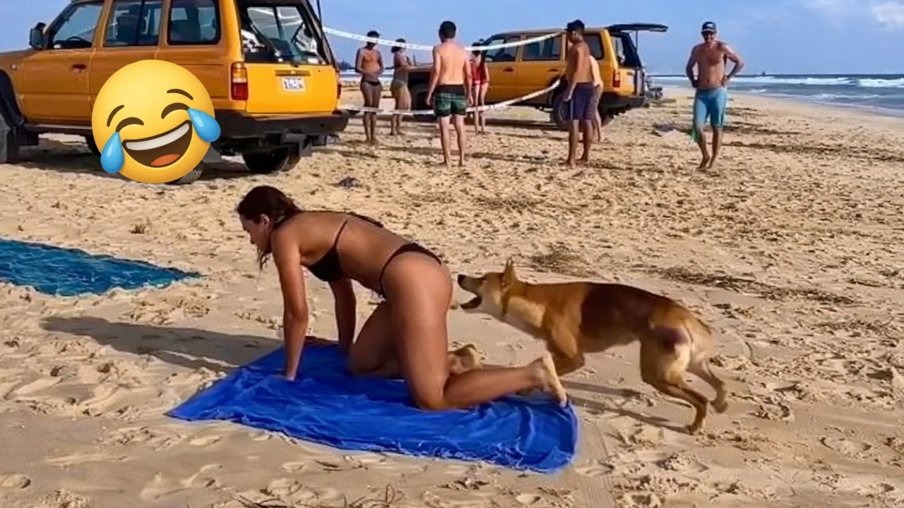 TRY NOT TO LAUGH 😂 Funniest Memes That Will Make You Cry 😆 Part 16
