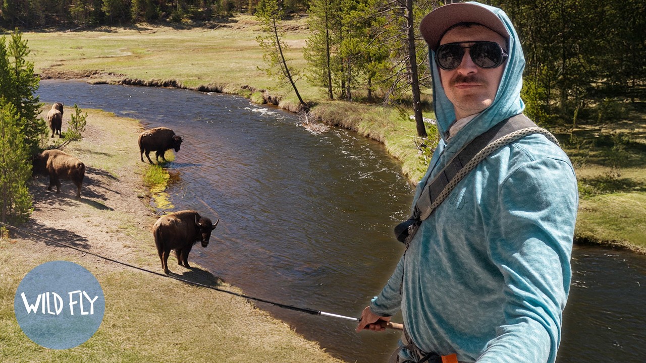 Battling High Water in Yellowstone | 2 Days of Fly Fishing & Camping