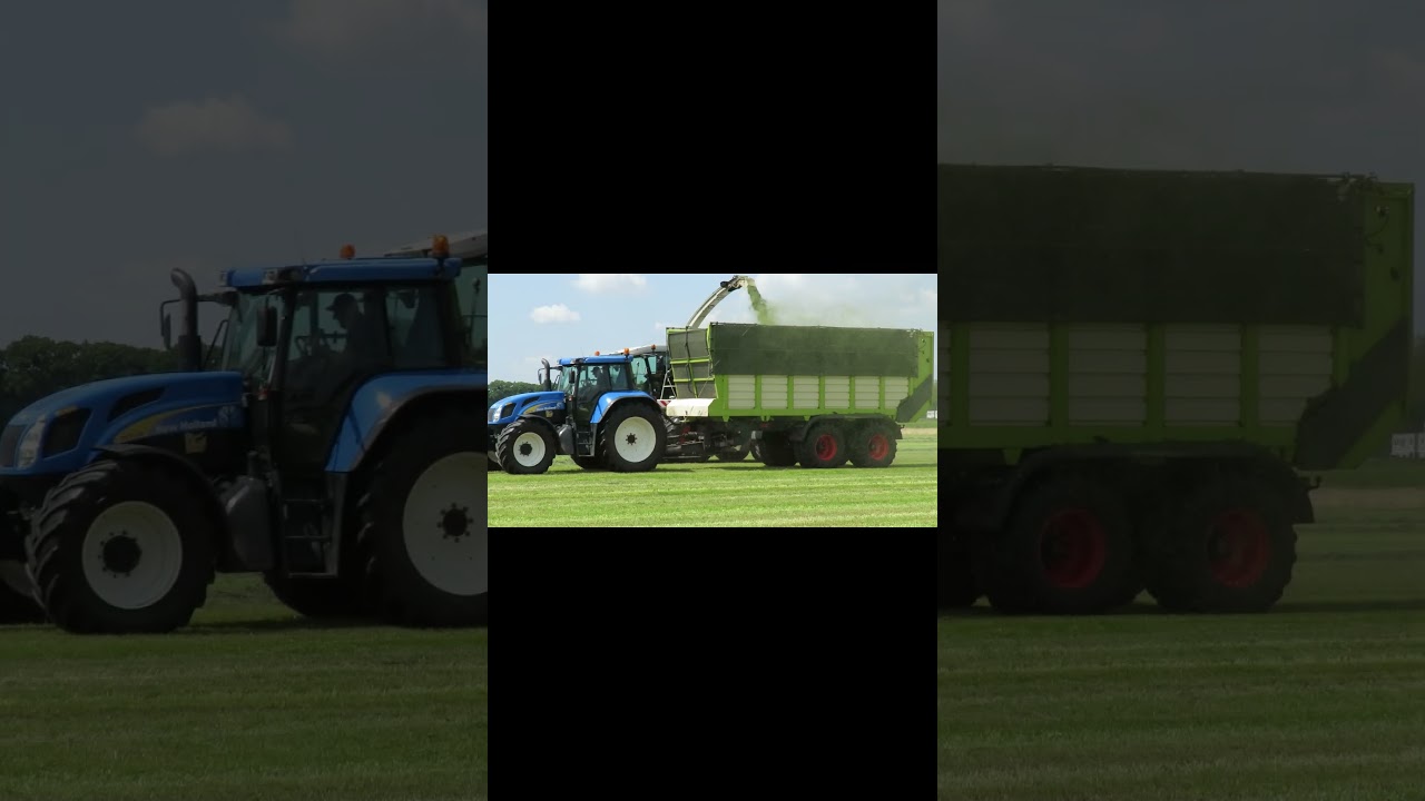 Grass mowing #claasjaguar #grassmowing
