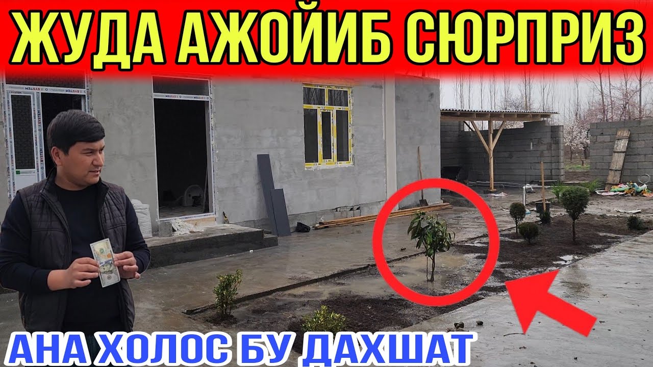 САРСОН БУЛГАН ЕТИМЛАР...БУ ГУЛЛАР ЖУДА КИММАТ ЭКАН...ХАММА КУРСИН 