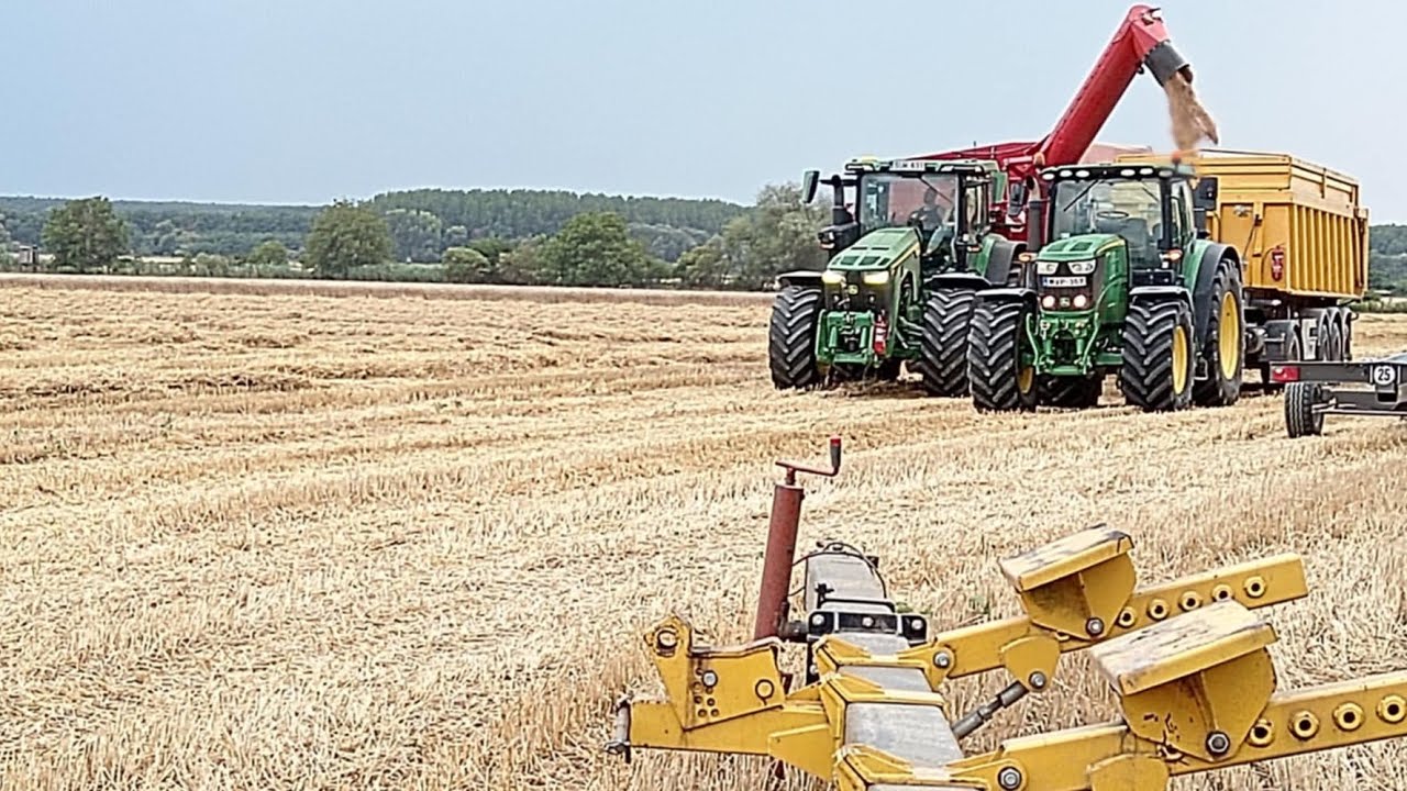 🌾 VITA KFT - 2025 SUMMER HARVEST 🌾
