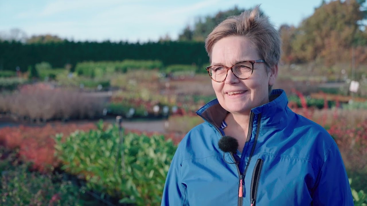 Trädgård – en växande bransch med gott om jobb. Här berättar Johanna Pommer.