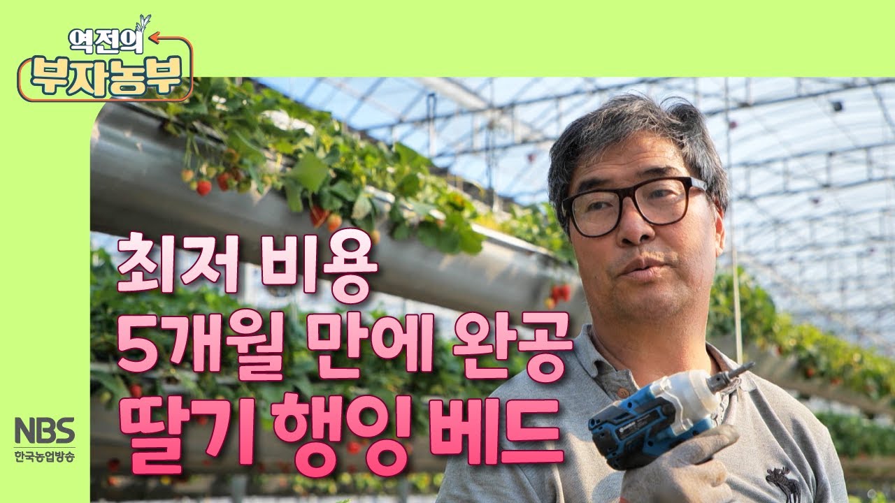 [역전의부자농부 295회] 최저 비용 5개월 만에 완공 딸기 행잉 베드