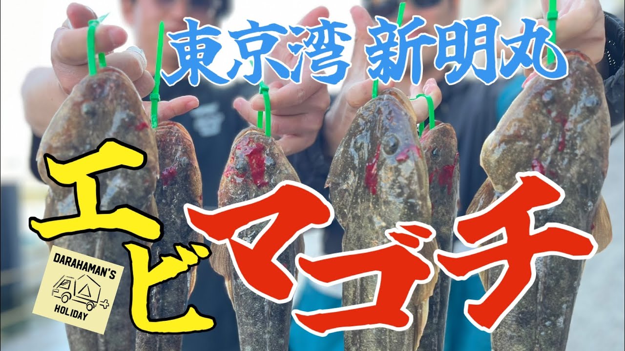 【シーズン到来】時合いを制する名人の技!!