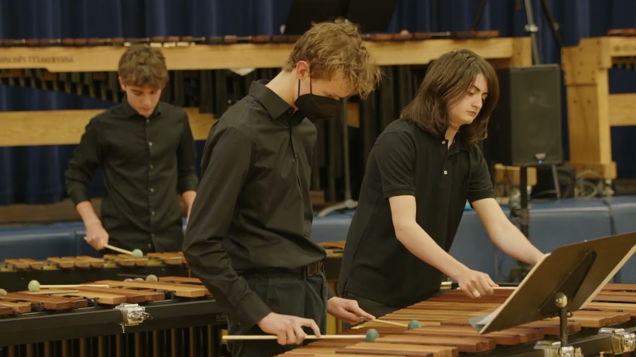 Muse - Starlight - Marimba Cover
