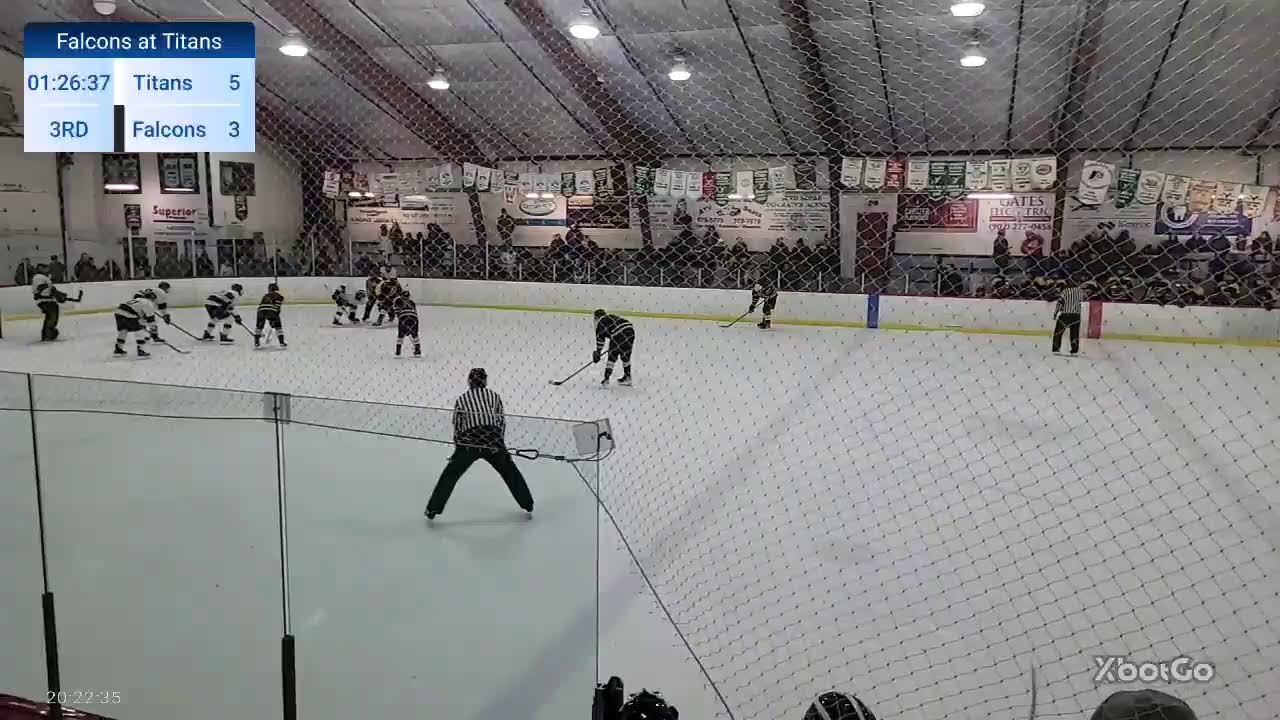 Falcons Nest Live Stream