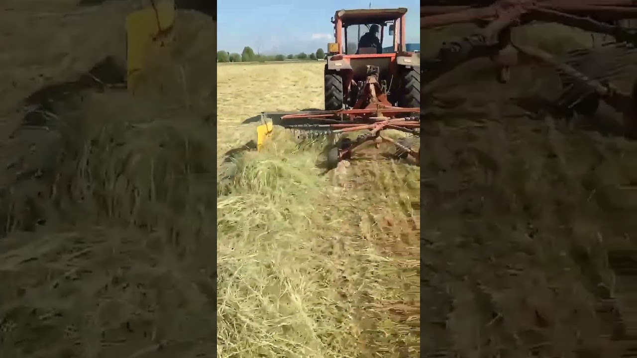 Cristoforo in campo 🚜 Andane di loietto con Same Explorer II e andanatore!