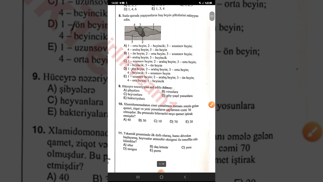 DİM sınaq.4cü blok.(13.02.2022)13 fevral(biologiya testlərinin izahı)