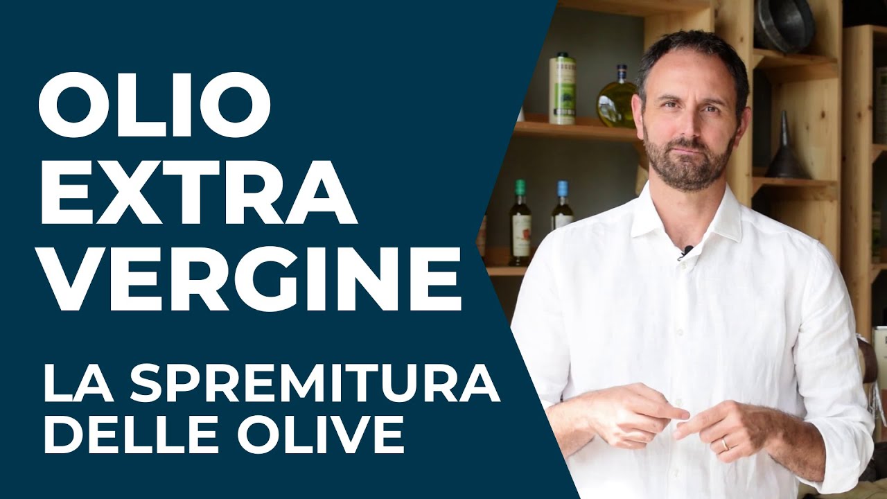 OLIO: La SPREMITURA delle Olive di un Buon Olio Extravergine d'Oliva