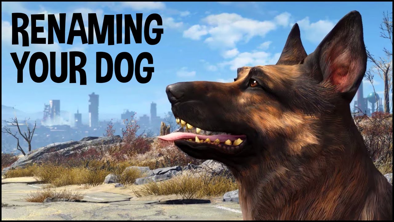 How to Get Dogmeat His Real Name 🐕 Fallout 4 Tips & Tricks