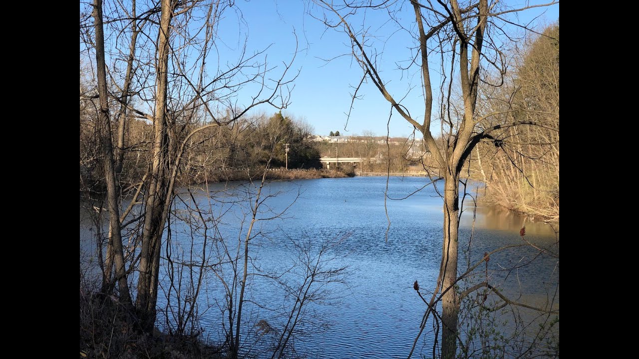 Exploring Clear Spring Pond by Bicycle