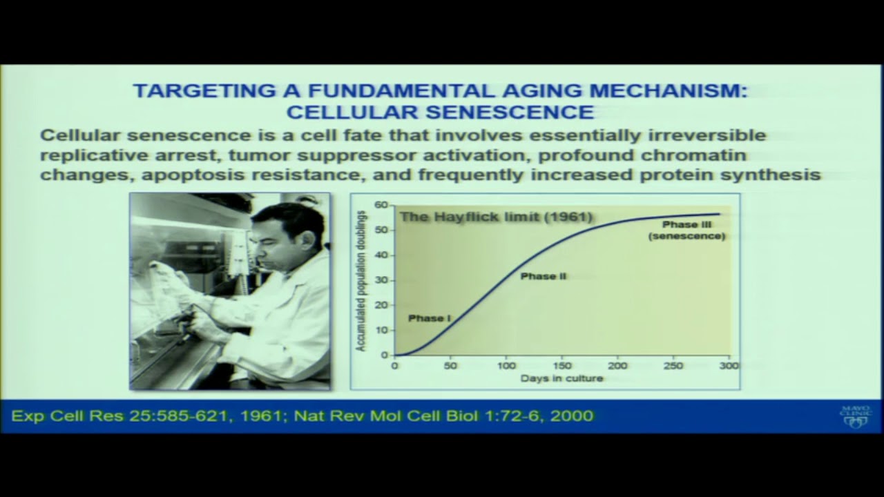 Medicine Grand Rounds: Targeting cellular senescence to treat osteoporosis and frailty 4/16/19