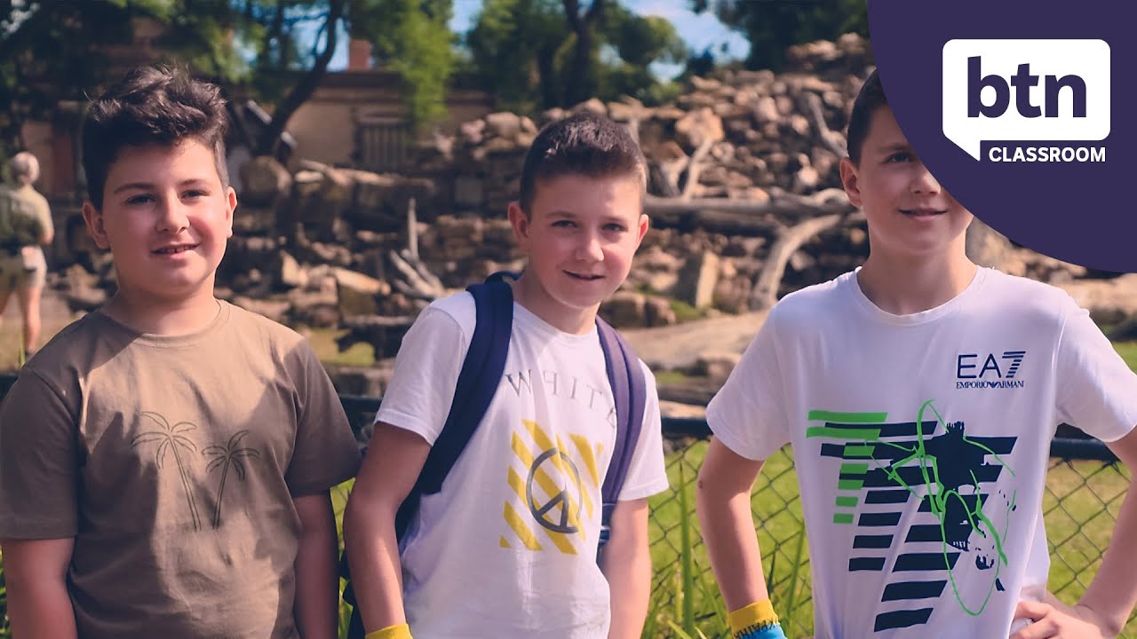 The Journey from Ukraine  - Behind the News