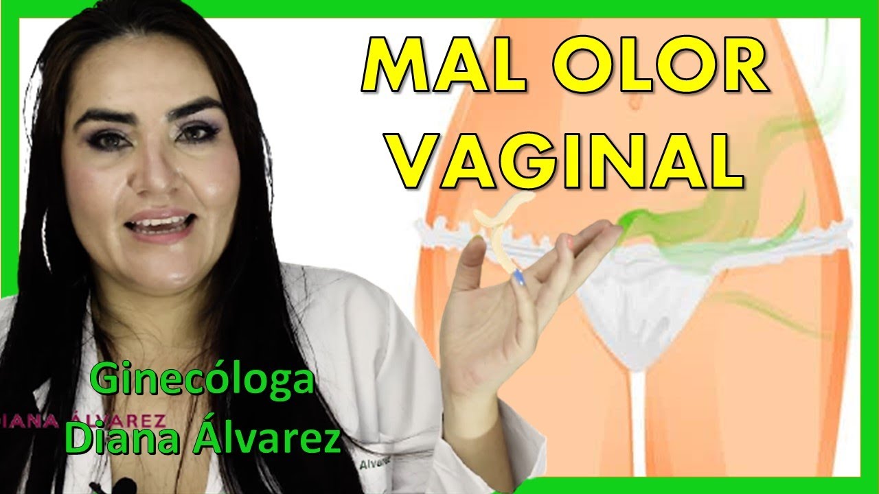 DEJA de usar ANTIBIOTICOS para el MAL OLOR VAGINAL | Ginec&oacute;loga Diana Alvarez