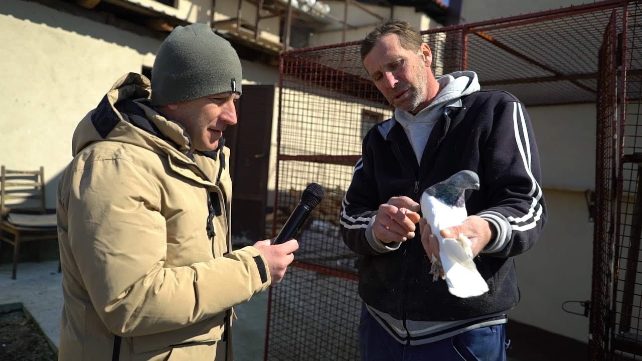 NA SELU ŽIVJET A NE DRŽAT NIŠTA JE STVARNO ŠTETA