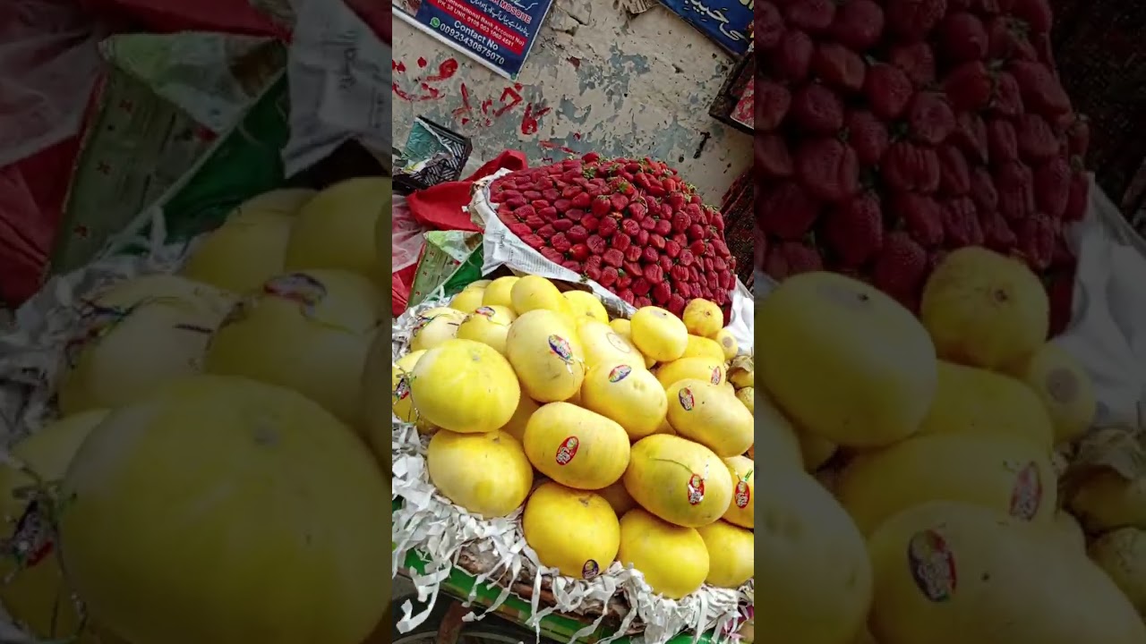 1.My First vlog.#Virals