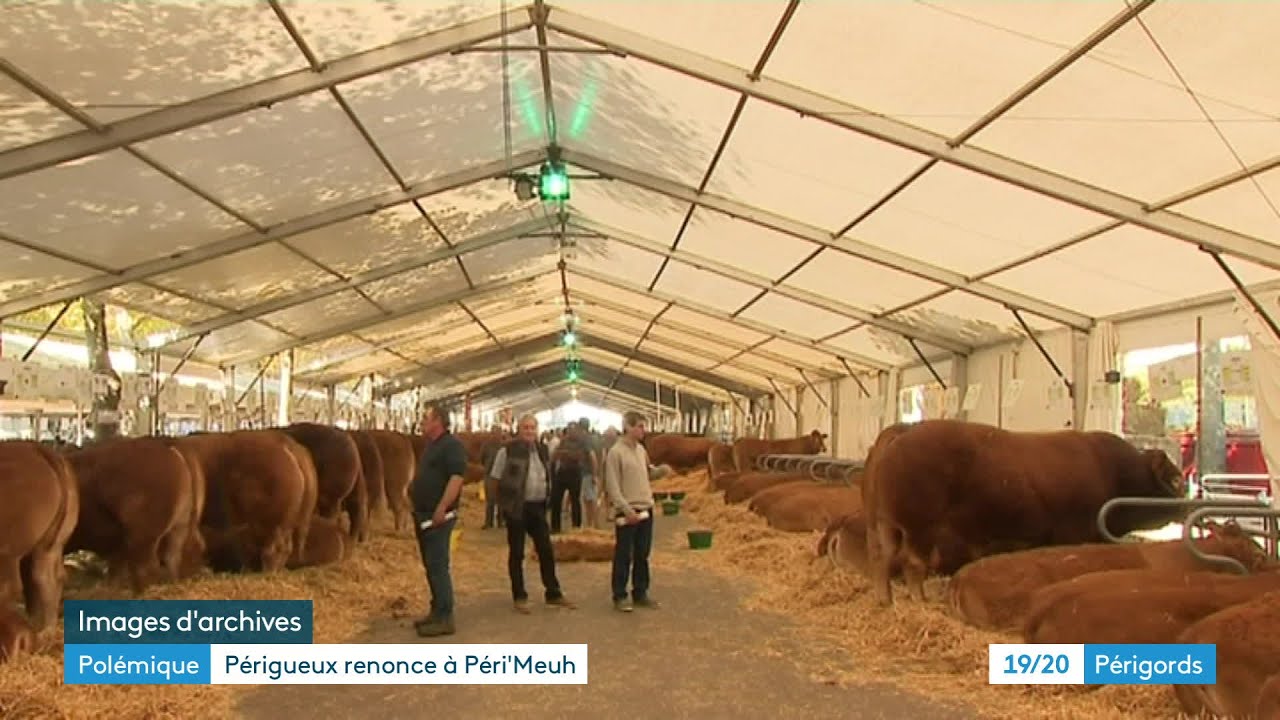 La mairie de Périgueux renonce à Péri'Meuh