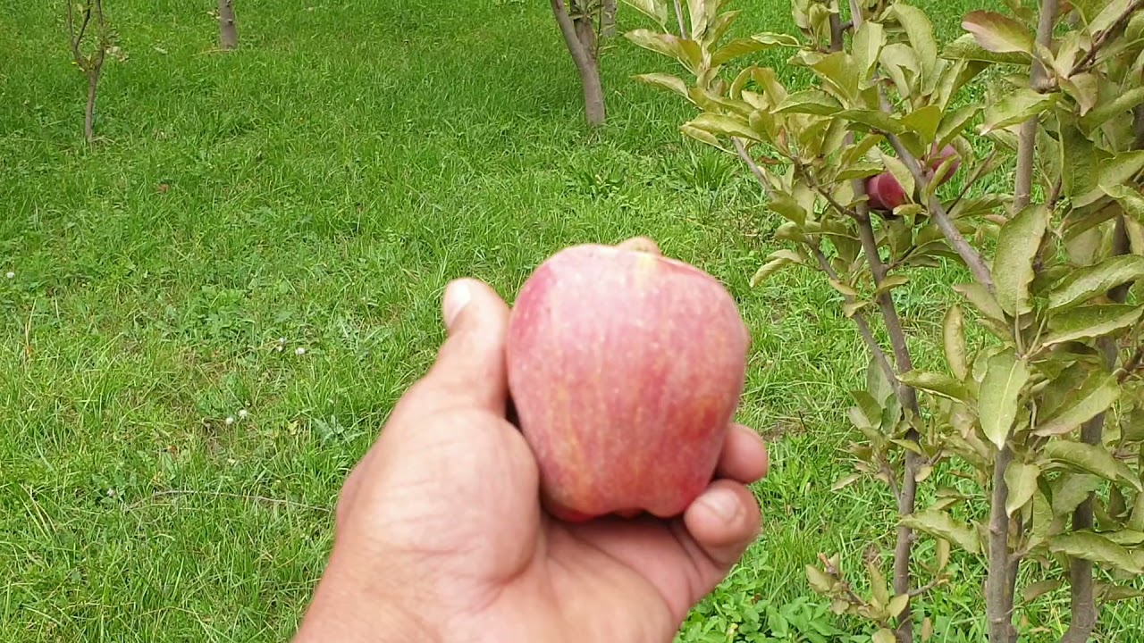 زيارة إلى جبل أردوز