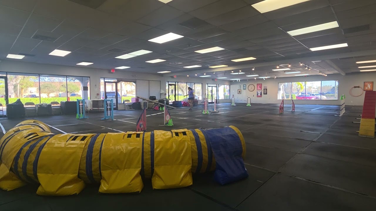 Captain,  Agility 1