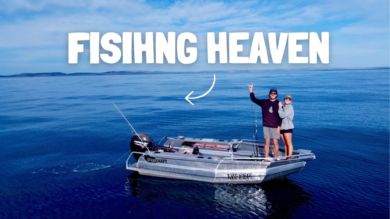 FISHING SOUTH AUSTRALIA - Squid and STONKING Salmon - Catch and Cook