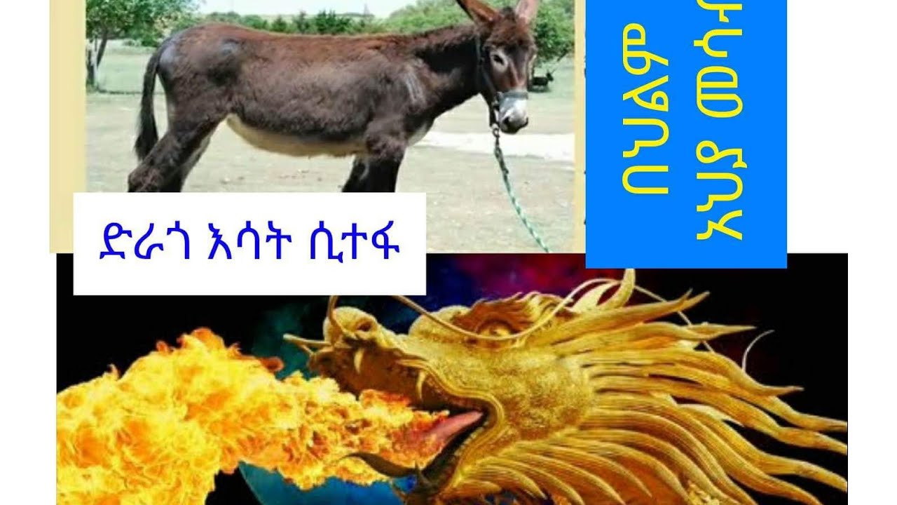 📌በህልም #አህያ #የመጨረሻው ቀን #ኦባደን #አሮጌ አልጋ እና ሌሎችም የበርካታ ህልሞች ፍቺ ✍️