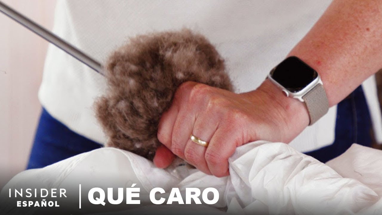 Por qué el plumón islandés es tan caro | Qué caro