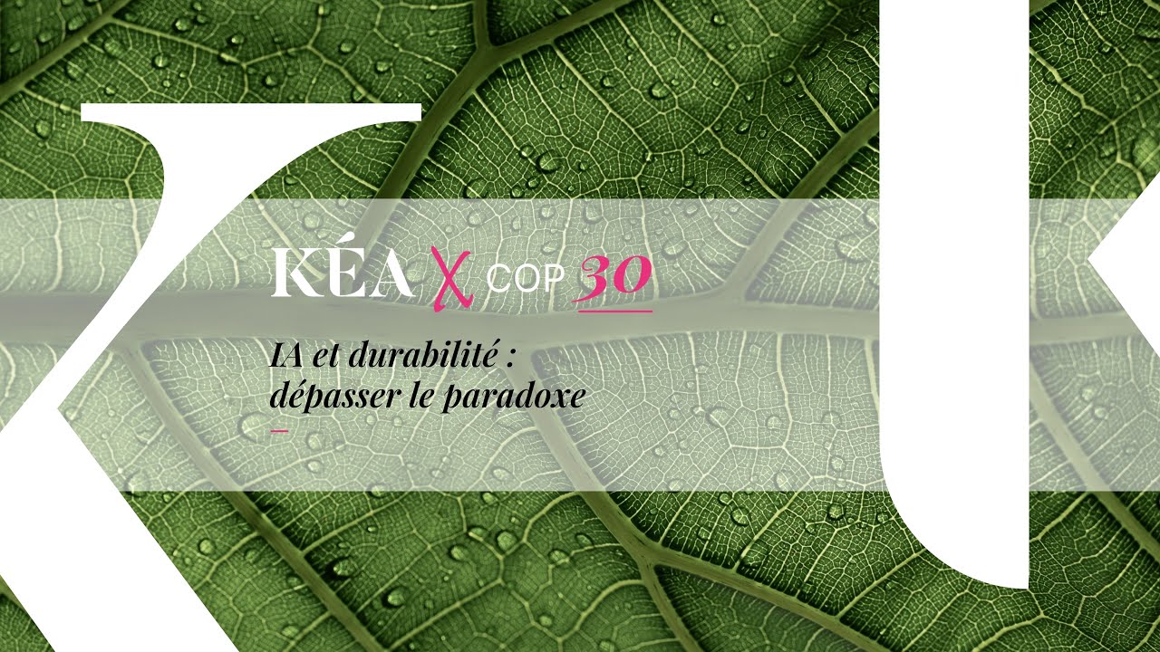 IA et durabilité : dépasser le paradoxe