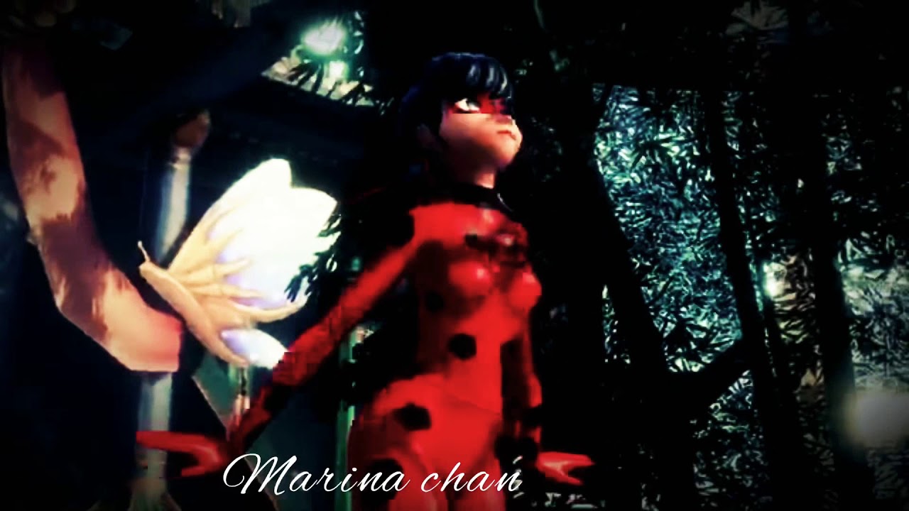 [MMD] ledybug and cat noar на 13 подписчиков