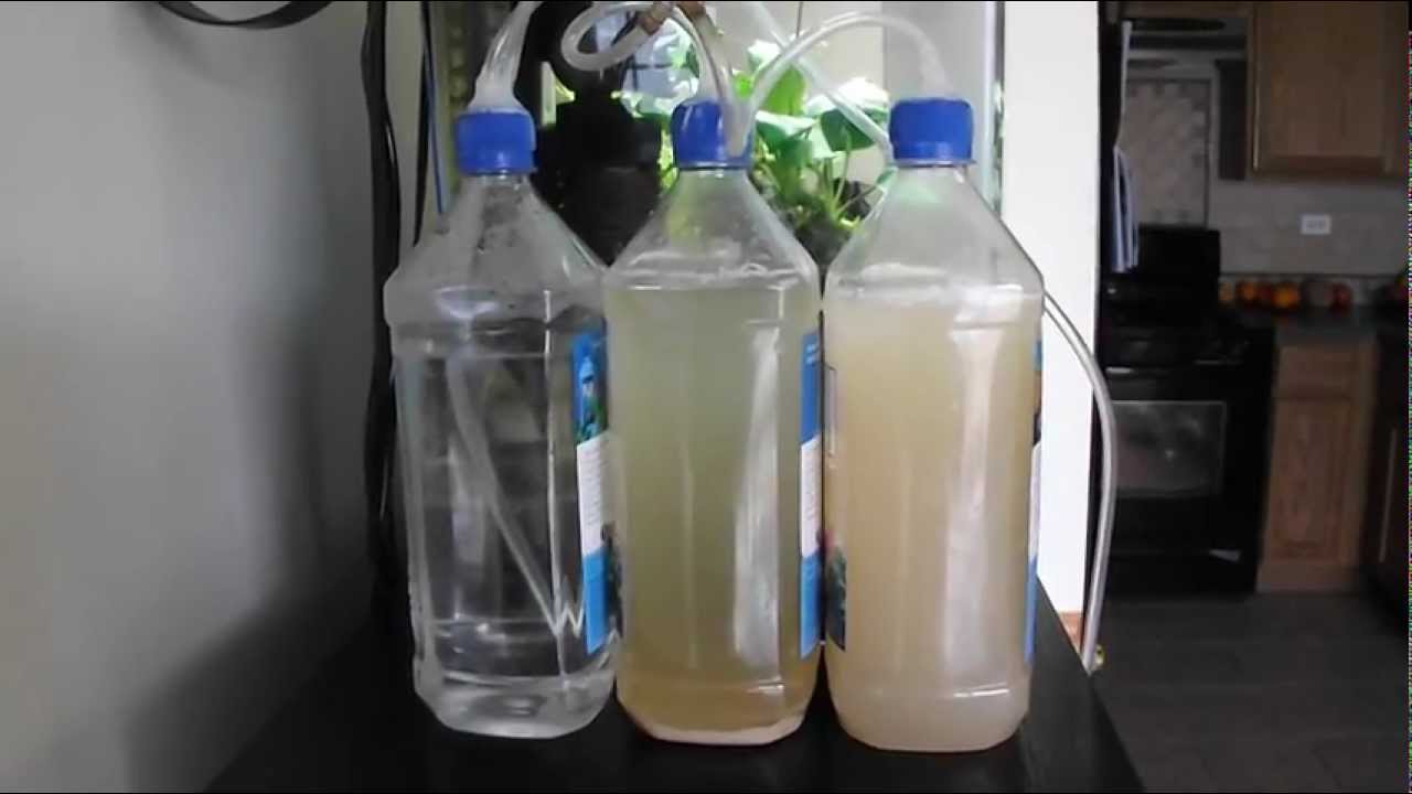 DIY CO2 Reactors - What You Need To Know(to prevent invasive algaes)