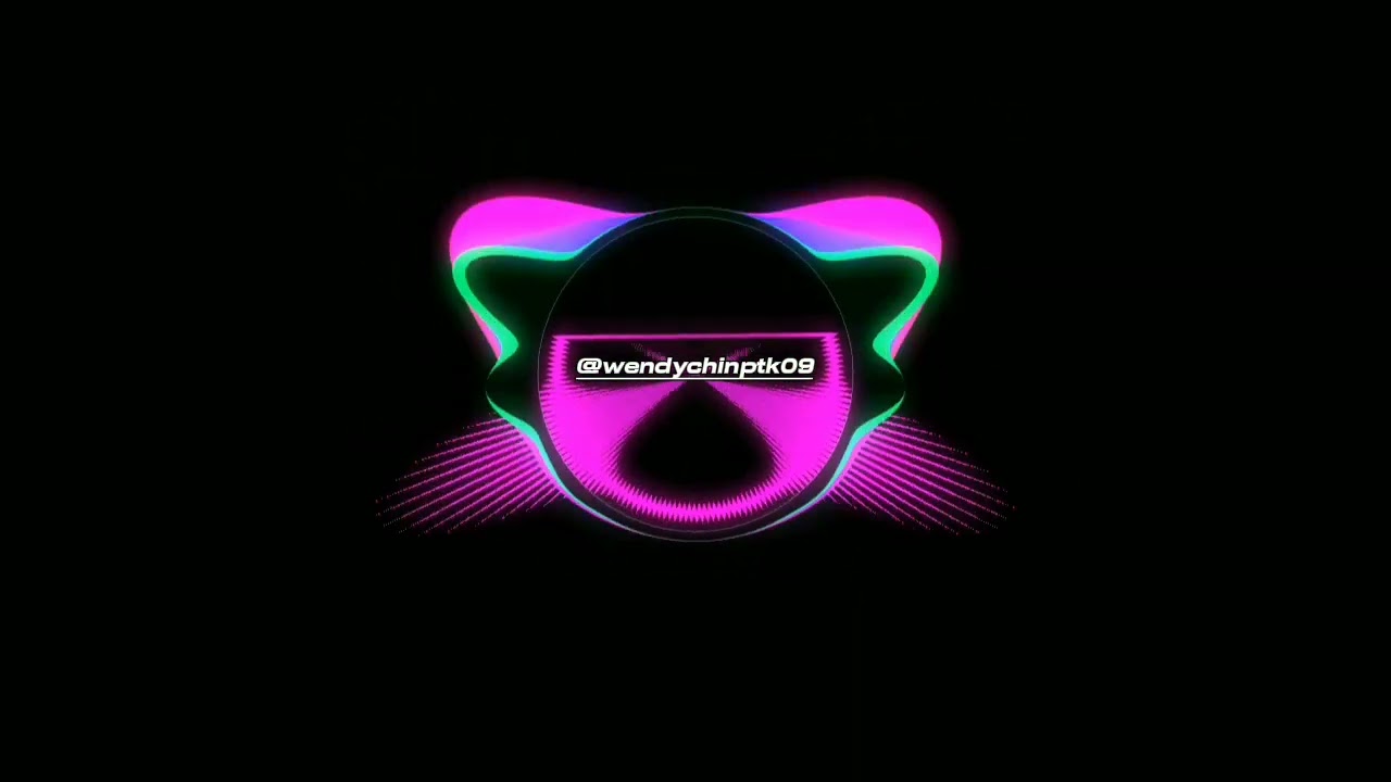 (Dolphin Bay)'I Dont Want To Know'#mandarinremix #chineseremix #electromusic #manyaomusic