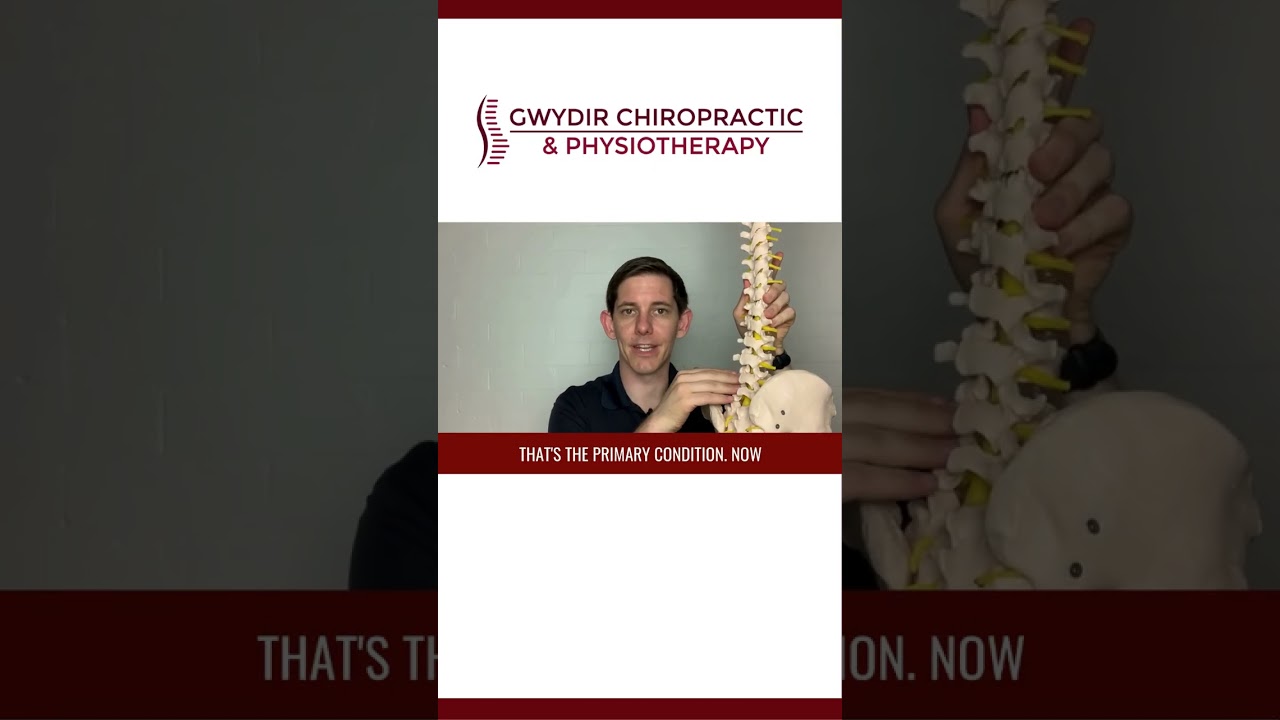 What is Chiropractic