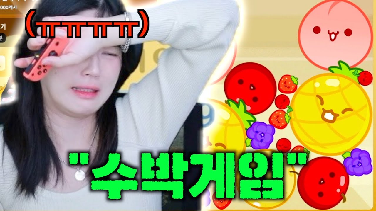 김달걀을 울리는 수박게임!