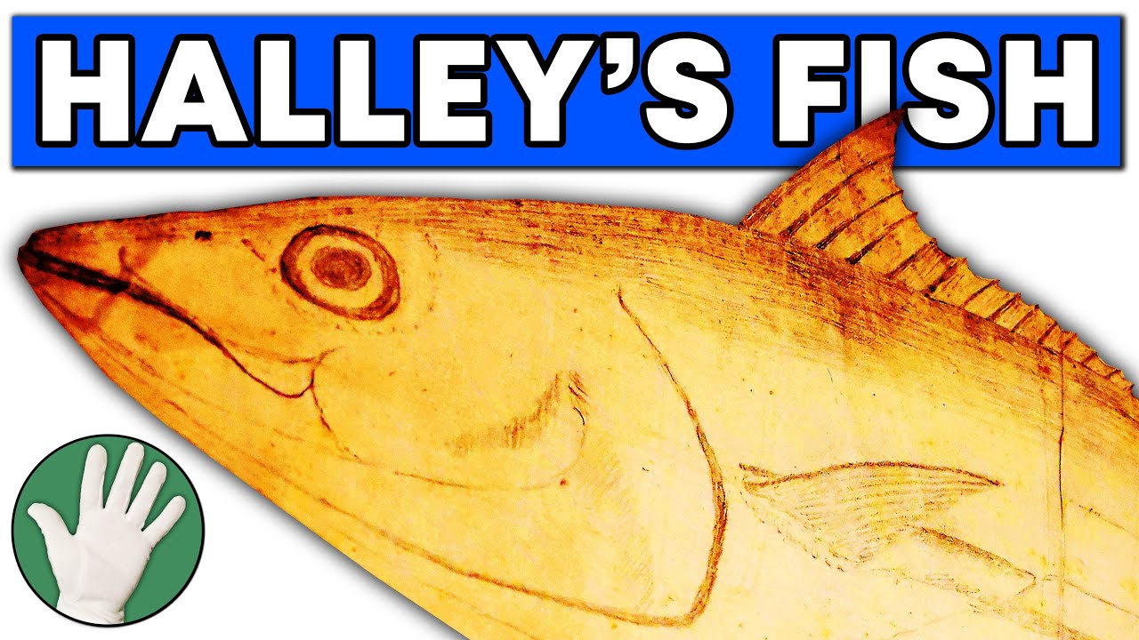 Halley's Fish - Objectivity 6