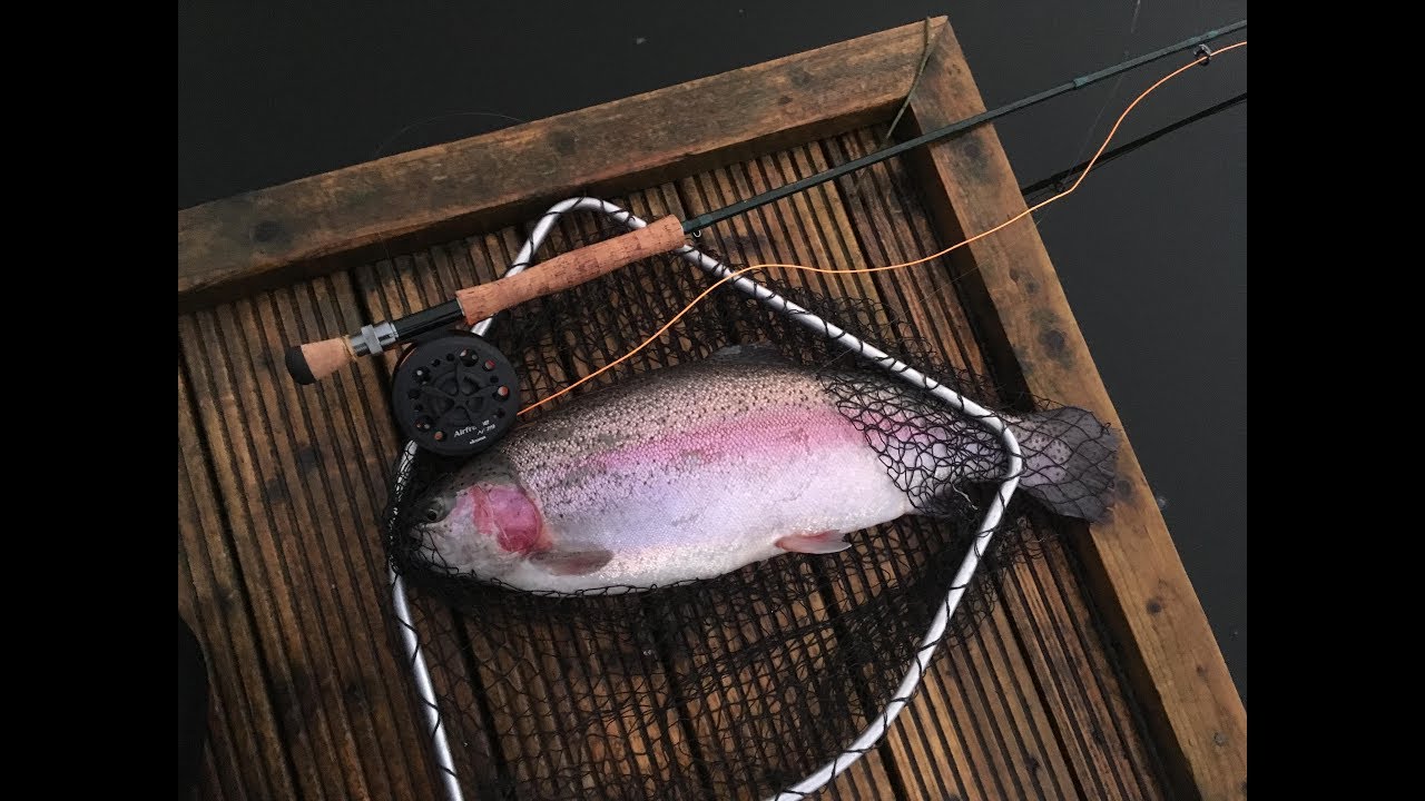 Trout fishing at Birchwood Trout Fishery